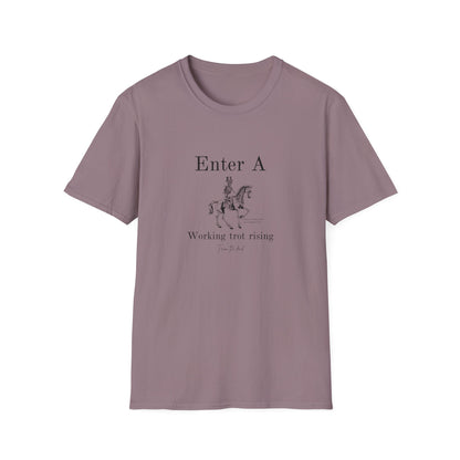 Enter A-Unisex Softstyle T-Shirt