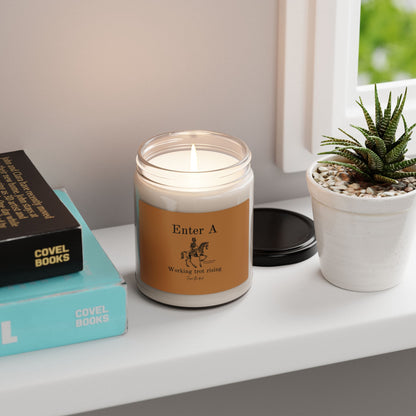 Enter A-Scented Soy Candle, 9oz