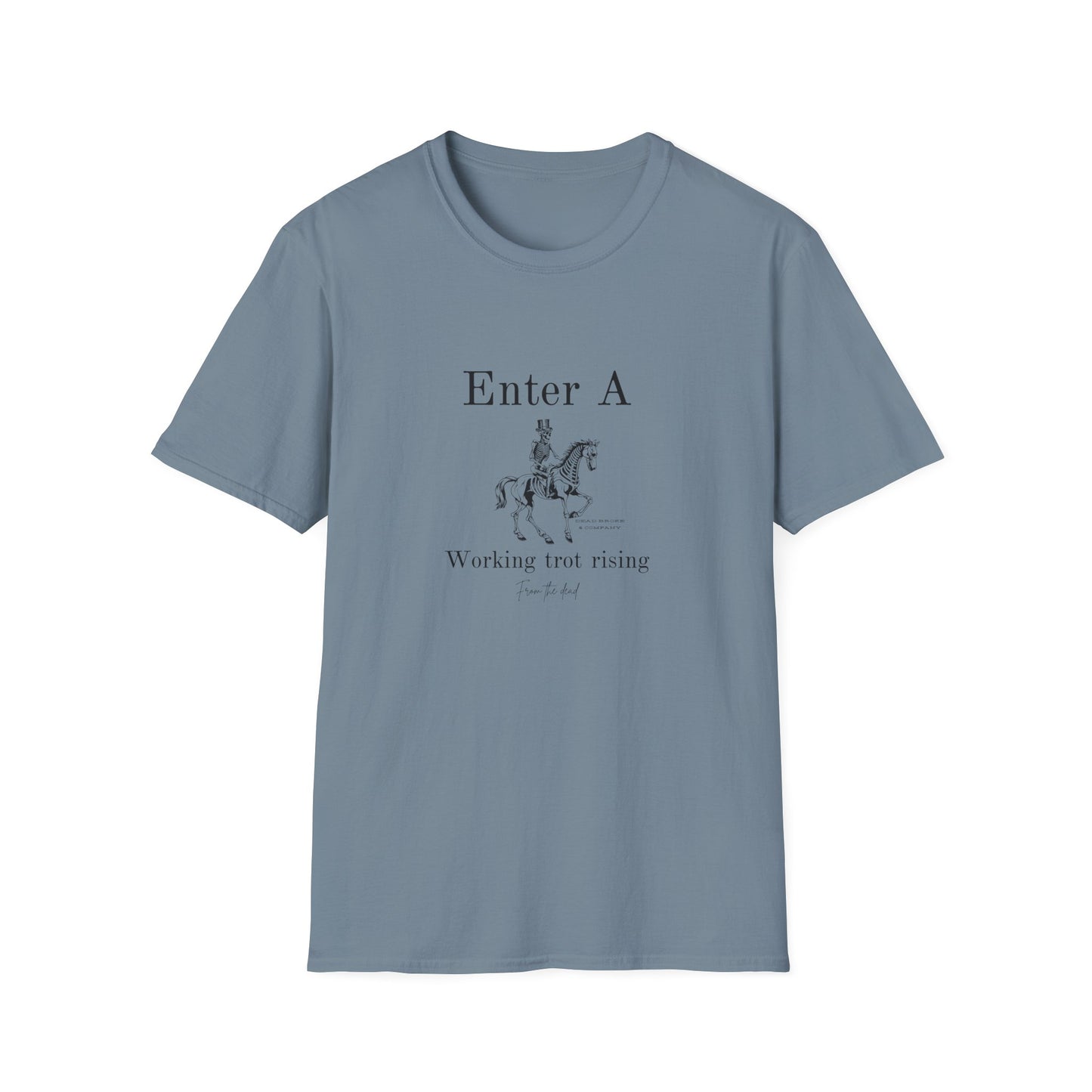 Enter A-Unisex Softstyle T-Shirt