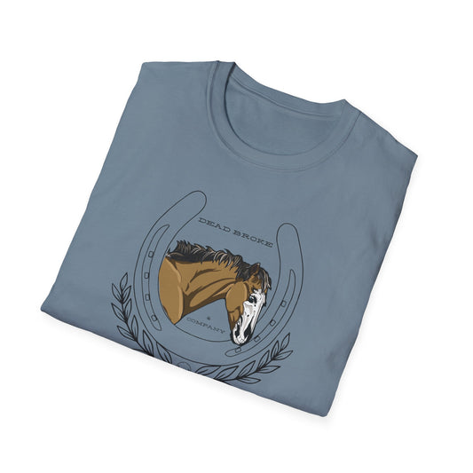 Zeppelin’s Luck-Unisex Softstyle T-Shirt
